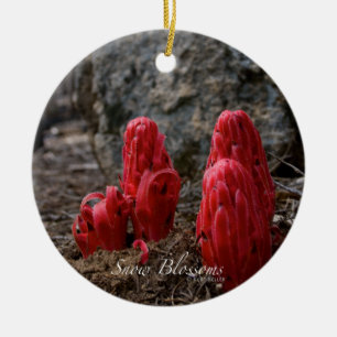 Schneeblocken Keramikornament