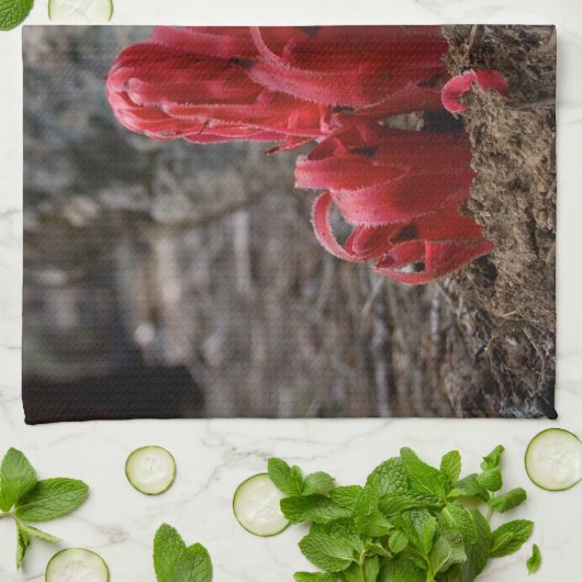 Schneeblocken Küchentuch (Gefaltet)