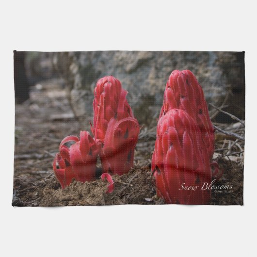 Schneeblocken Küchentuch (Horizontal)