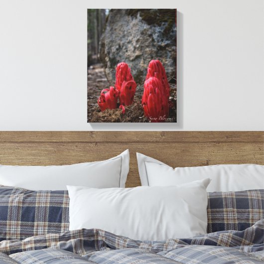 Schneeblocken Leinwanddruck (Insitu (Schlafzimmer))