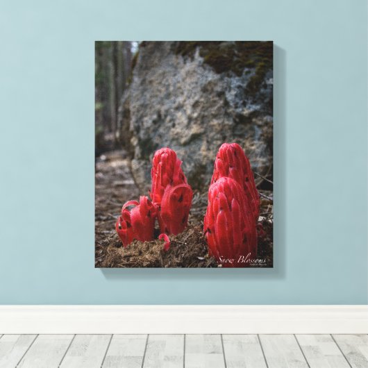 Schneeblocken Leinwanddruck (Insitu (Holzboden))