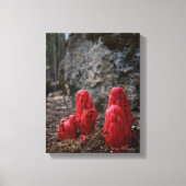 Schneeblocken Leinwanddruck (Vorderseite)