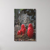 Schneeblocken Leinwanddruck (Vorderseite)