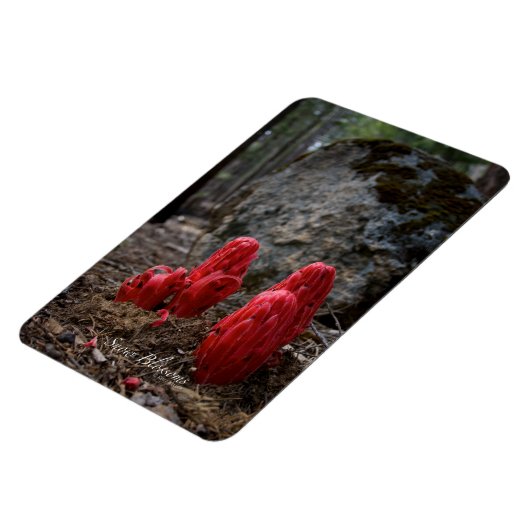 Schneeblocken Magnet (Linke Seite)