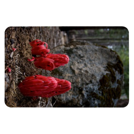 Schneeblocken Magnet (Horizontal)