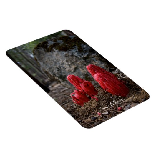 Schneeblocken Magnet (Rechte Seite)