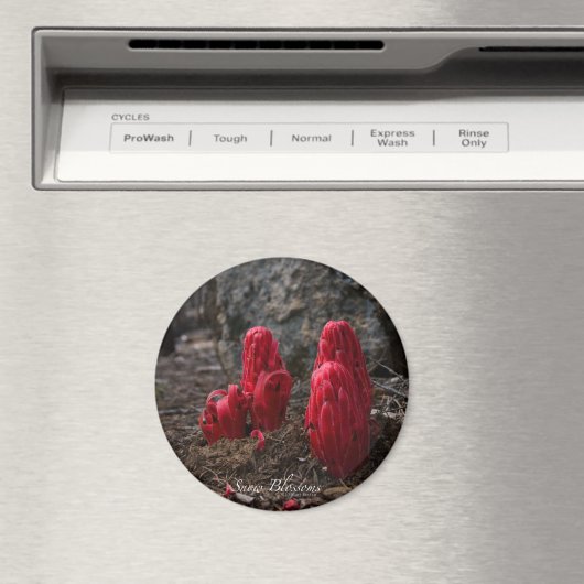 Schneeblocken Magnet (In Situ (Geschirrspüler))