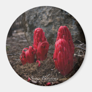 Schneeblocken Magnet