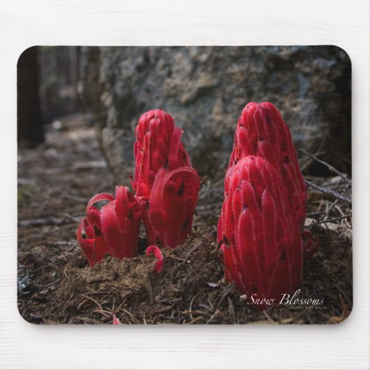 Schneeblocken Mousepad (Vorne)