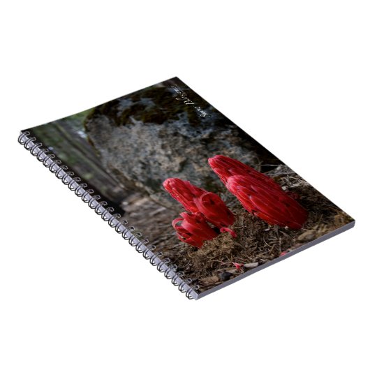 Schneeblocken Notizblock (Rechte Seite)