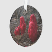 Schneeblocken Ornament (Vorderseite)