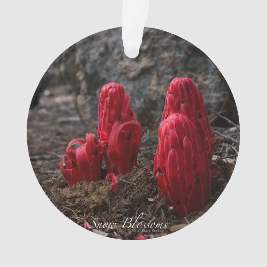 Schneeblocken Ornament (Vorderseite)