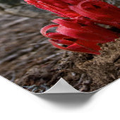 Schneeblocken Poster (Ecke)