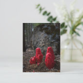 Schneeblocken Postkarte (Stehend Vorderseite)