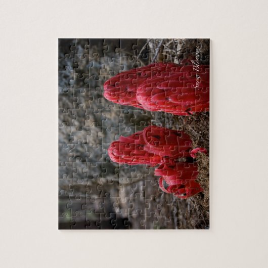 Schneeblocken Puzzle (Vertikal)