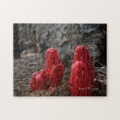 Schneeblocken Puzzle (Horizontal)