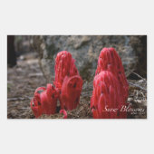 Schneeblocken Rechteckiger Aufkleber (Vorderseite)