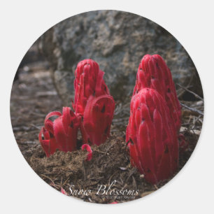 Schneeblocken Runder Aufkleber