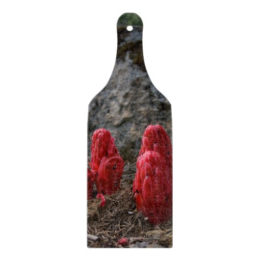 Schneeblocken Schneidebrett (Vorderseite)