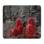 Schneeblocken Schneidebrett (Vorderseite)