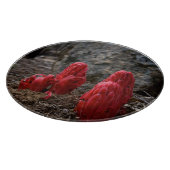 Schneeblocken Schneidebrett (Ecke)