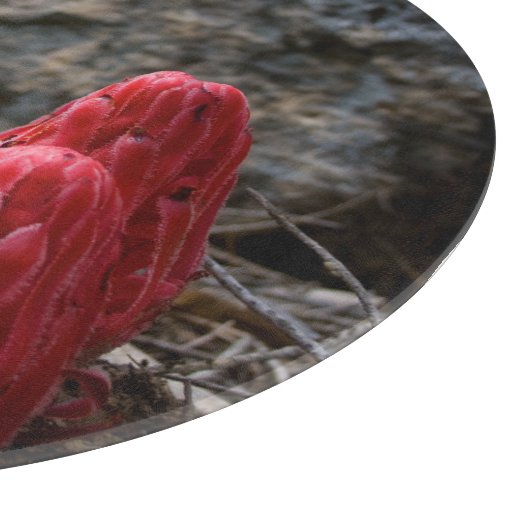 Schneeblocken Schneidebrett (Ecke)