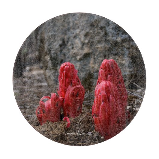 Schneeblocken Schneidebrett (Vorderseite)