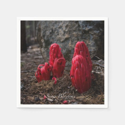 Schneeblocken Serviette (Vorderseite)