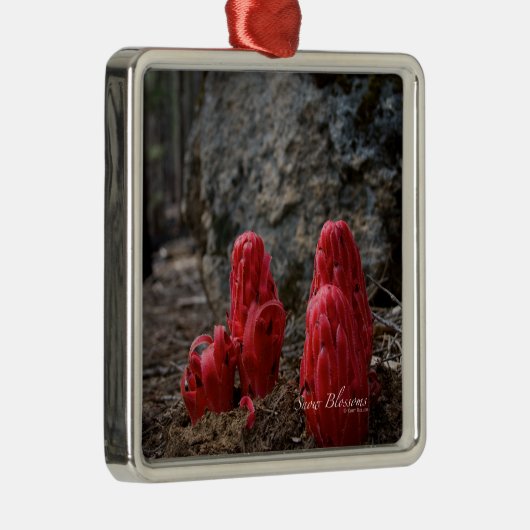 Schneeblocken Silbernes Ornament (Rechts)