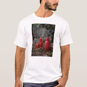 Schneeblocken T-Shirt