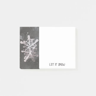 Schneeblumen-Photo-Post-It-Notizen Post-it Klebezettel