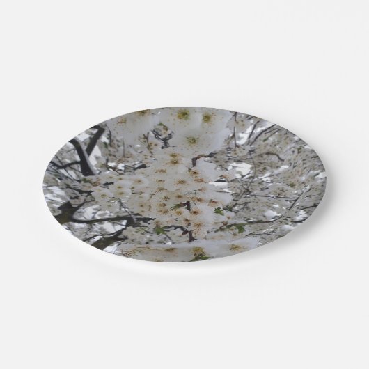 Schneeblüten-Papierteller Pappteller (Schrägansicht)