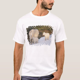 Schneeböcke T-Shirt