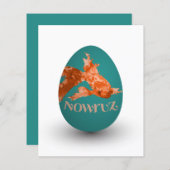 Schneebräse (Vorne/Hinten)