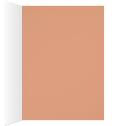 Schneebräse (Innen (Rechts))