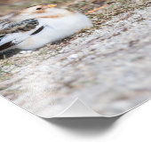 Schneebräunungsfotografie Fotodruck (Ecke)