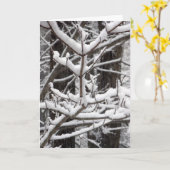 Schneebründe Branchen Karte (Gelbe Blume)