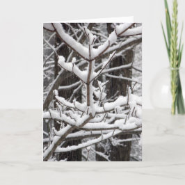 Schneebründe Branchen Karte