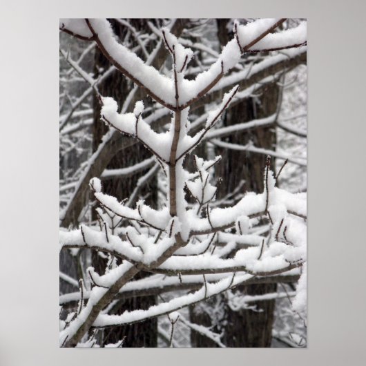 Schneebründe Branchen Poster (Vorne)