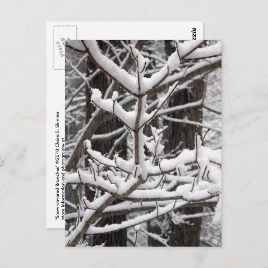 Schneebründe Branchen Postkarte (Vorne/Hinten)