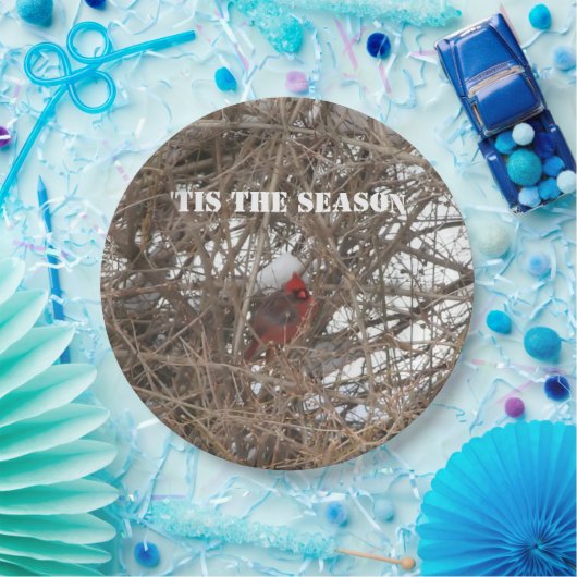 Schneebründe im Roten Kardinal Pappteller (Party)