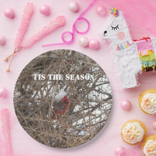 Schneebründe im Roten Kardinal Pappteller (Party)