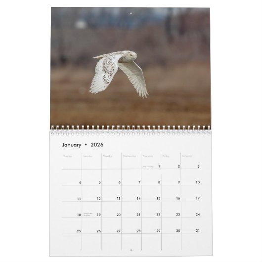 Schneebuhl 2026 kalender (Jan 2026)