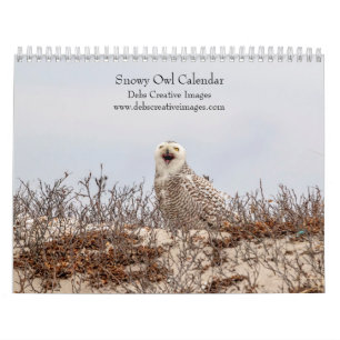 Schneebuhl 2026 kalender