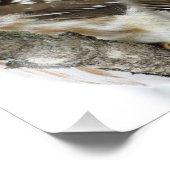 Schneebuhls Foto drucken (Ecke)