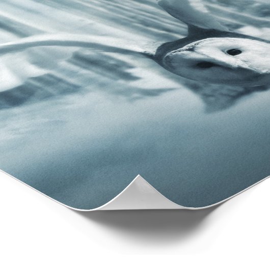 Schneebuschel im Flug Poster (Ecke)