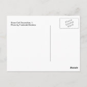 Schneedecke, 1 postkarte (Rückseite)