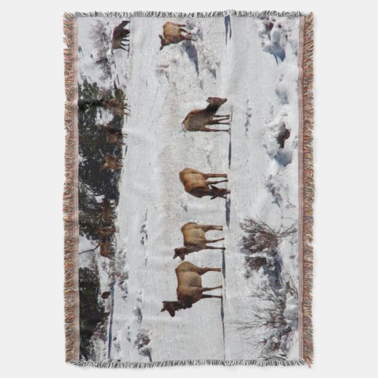 Schneedecke durch Elche Decke (Vorderseite Vertikal)