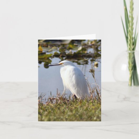 Schneedecke Foto Faltkarte (Vorderseite)