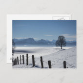 Schneedecke Foto Postkarte (Vorne/Hinten)